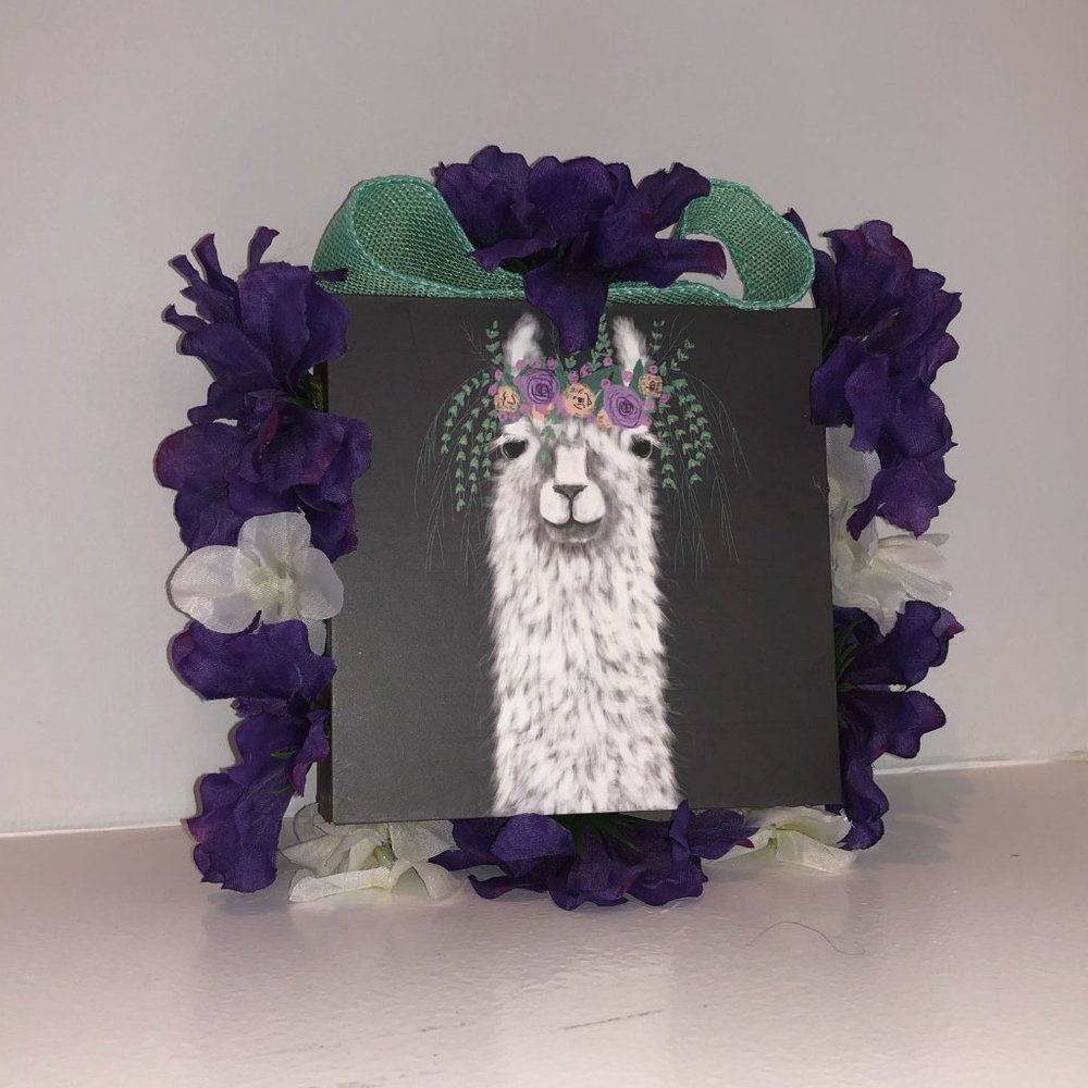 NEW  Darling Llama Picture w Flowers & Ribbon